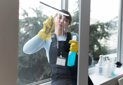 Nettoyage de vitres intérieures et extérieures à la Souche